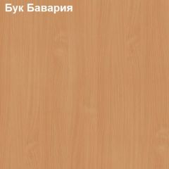 Антресоль для узкого шкафа Логика Л-14.2 в Нижнекамске - nizhnekamsk.mebel24.online | фото 2