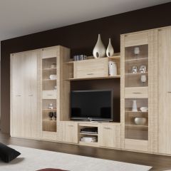 Гостиная Элана (модульная) в Нижнекамске - nizhnekamsk.mebel24.online | фото 4