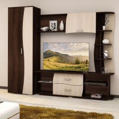 Гостиная ГАРМОНИЯ-3 (ЦРК.ГРМ.03) в Нижнекамске - nizhnekamsk.mebel24.online | фото 3