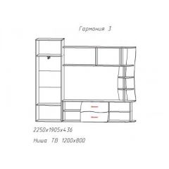 Гостиная ГАРМОНИЯ-3 (ЦРК.ГРМ.03) в Нижнекамске - nizhnekamsk.mebel24.online | фото 2