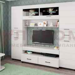 Гостиная Камелия Композиция 10 (Снежный ясень) в Нижнекамске - nizhnekamsk.mebel24.online | фото