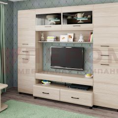 Гостиная Камелия Композиция 10 (Ясень Асахи) в Нижнекамске - nizhnekamsk.mebel24.online | фото