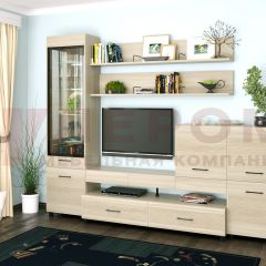 Гостиная Камелия Композиция 5 (Ясень Асахи) в Нижнекамске - nizhnekamsk.mebel24.online | фото