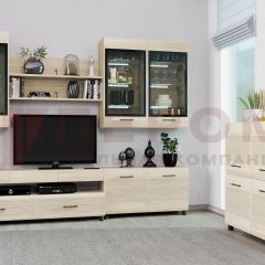 Гостиная Камелия Композиция 8 (Ясень Асахи) в Нижнекамске - nizhnekamsk.mebel24.online | фото
