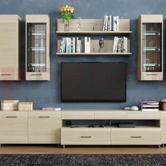 Гостиная Камелия Композиция 9 (Ясень Асахи) в Нижнекамске - nizhnekamsk.mebel24.online | фото