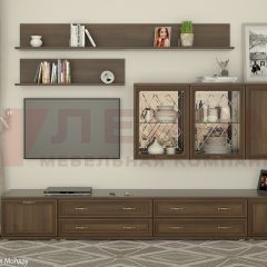 Гостиная Карина Композиция 10 (Акация Молдау) в Нижнекамске - nizhnekamsk.mebel24.online | фото