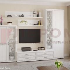 Гостиная Карина Композиция 12 (Снежный ясень) в Нижнекамске - nizhnekamsk.mebel24.online | фото