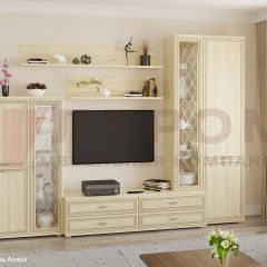 Гостиная Карина Композиция 12 (Ясень Асахи) в Нижнекамске - nizhnekamsk.mebel24.online | фото