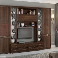 Гостиная Карина Композиция 19 (Акация Молдау) в Нижнекамске - nizhnekamsk.mebel24.online | фото 5