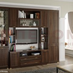 Гостиная Карина Композиция 2 (Акация Молдау) в Нижнекамске - nizhnekamsk.mebel24.online | фото