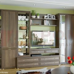 Гостиная Карина Композиция 20 (Акация Молдау) в Нижнекамске - nizhnekamsk.mebel24.online | фото