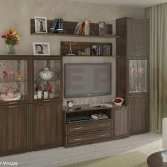 Гостиная Карина Композиция 22 (Акация Молдау) в Нижнекамске - nizhnekamsk.mebel24.online | фото