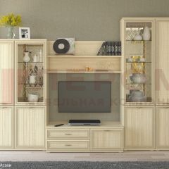 Гостиная Карина Композиция 24 (Ясень Асахи) в Нижнекамске - nizhnekamsk.mebel24.online | фото