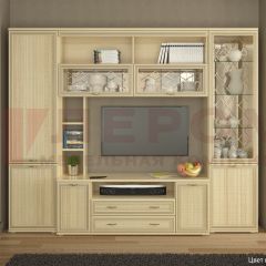 Гостиная Карина Композиция 9 (Ясень Асахи) в Нижнекамске - nizhnekamsk.mebel24.online | фото