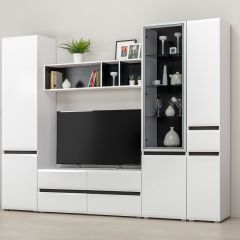 Гостиная Сидней (модульная) в Нижнекамске - nizhnekamsk.mebel24.online | фото 2