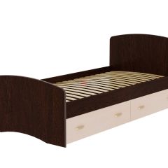 Кровать-6 одинарная с 2-мя ящиками (900*2000) в Нижнекамске - nizhnekamsk.mebel24.online | фото 5