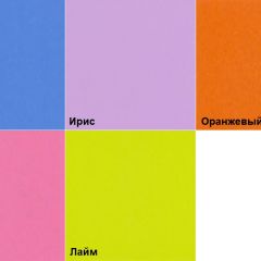 Кровать-чердак Кадет 2 в Нижнекамске - nizhnekamsk.mebel24.online | фото 6