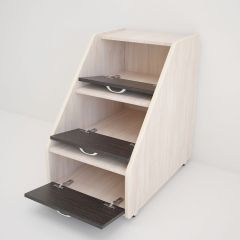 Кровать выкатная Радуга (Матрешка) 800*1600/1650 в Нижнекамске - nizhnekamsk.mebel24.online | фото 11