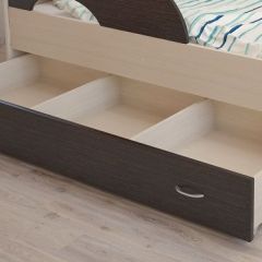 Кровать выкатная Радуга (Матрешка) 800*1600/1650 в Нижнекамске - nizhnekamsk.mebel24.online | фото 9