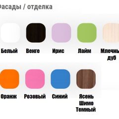 Кровать выкатная Соник (800*1900) в Нижнекамске - nizhnekamsk.mebel24.online | фото 11