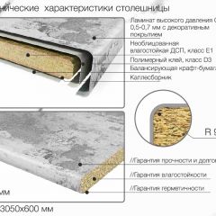 Кухонный фартук со столешницей (А-01) в едином стиле (3050 мм) в Нижнекамске - nizhnekamsk.mebel24.online | фото 6