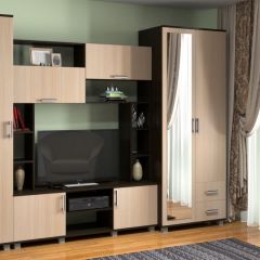 ЕВА  Модульная система в Нижнекамске - nizhnekamsk.mebel24.online | фото 3