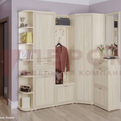 Прихожая Карина композиция 5 (Ясень Асахи) в Нижнекамске - nizhnekamsk.mebel24.online | фото