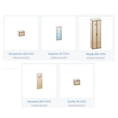 Прихожая Карина композиция 7 (Снежный ясень) в Нижнекамске - nizhnekamsk.mebel24.online | фото 3