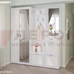 Прихожая Карина (модульная) в Нижнекамске - nizhnekamsk.mebel24.online | фото 3
