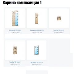 Прихожая Карина (модульная) в Нижнекамске - nizhnekamsk.mebel24.online | фото 4