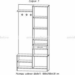 Прихожая София 1 в Нижнекамске - nizhnekamsk.mebel24.online | фото 3