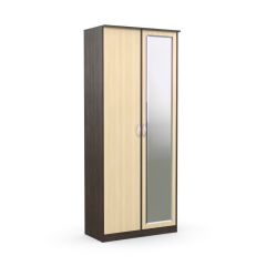 Шкаф 2-х створчатый Дуэт Люкс с зеркалом в Нижнекамске - nizhnekamsk.mebel24.online | фото 4