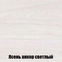 Шкаф 2-х створчатый МСП-1 (Ясень Анкор светлый) в Нижнекамске - nizhnekamsk.mebel24.online | фото 4