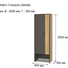ОЛЬГА-ЛОФТ 3 Шкаф 2-х створчатый в Нижнекамске - nizhnekamsk.mebel24.online | фото 4