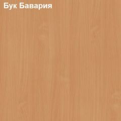 Шкаф для документов со стеклянными дверями Логика Л-9.5 в Нижнекамске - nizhnekamsk.mebel24.online | фото 2