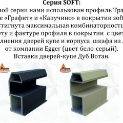 Шкаф-купе 1400 серии SOFT D6+D4+B2+PL2 (2 ящика+1штанга+1 полка) профиль «Капучино» в Нижнекамске - nizhnekamsk.mebel24.online | фото 13
