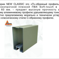 Шкаф-купе 1500 серии NEW CLASSIC K3+K3+B2+PL1 (2 ящика+1 штанга) профиль «Капучино» в Нижнекамске - nizhnekamsk.mebel24.online | фото 5