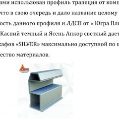 Шкаф-купе 1500 серии SILVER S1+S1+B2+PL2 (2 ящика+1 штанга+1 полка) профиль «Серебро» в Нижнекамске - nizhnekamsk.mebel24.online | фото 4