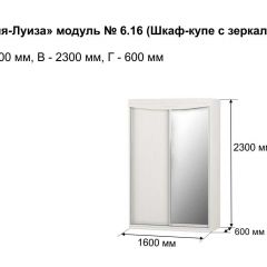 Шкаф-купе 1600 с зеркалом "Мария-Луиза 6.16" в Нижнекамске - nizhnekamsk.mebel24.online | фото 4