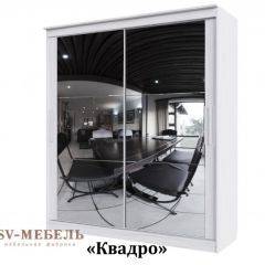 Шкаф-купе №19 Серия 3 Квадро (1700) Ясень Анкор светлый в Нижнекамске - nizhnekamsk.mebel24.online | фото