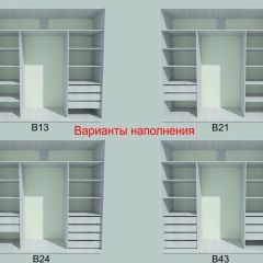 Шкаф-купе 1950 серии SILVER S3+S1+S4 B22+PL3 (по 2 ящика лев/прав+2 штанги) профиль «Серебро» в Нижнекамске - nizhnekamsk.mebel24.online | фото 5