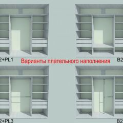 Шкаф-купе 1950 серии SILVER S3+S1+S4 B22+PL3 (по 2 ящика лев/прав+2 штанги) профиль «Серебро» в Нижнекамске - nizhnekamsk.mebel24.online | фото 6