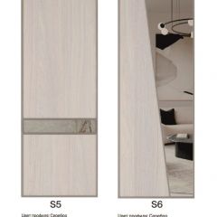 Шкаф-купе 1950 серии SILVER S3+S1+S4 B22+PL3 (по 2 ящика лев/прав+2 штанги) профиль «Серебро» в Нижнекамске - nizhnekamsk.mebel24.online | фото 14