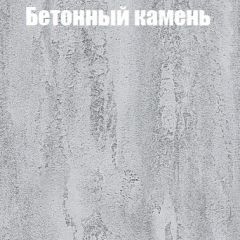 Шкаф-купе Бассо 1.0 (Дуб Крафт серый/Бетонный камень) 2 двери ЛДСП 2 зеркальные вставки в Нижнекамске - nizhnekamsk.mebel24.online | фото 3