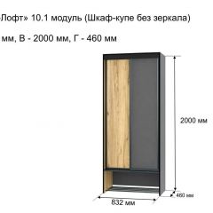 ОЛЬГА-ЛОФТ 10.1 Шкаф-купе без зеркала в Нижнекамске - nizhnekamsk.mebel24.online | фото 3