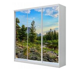 Шкаф-купе ХИТ 23-4-20/2-777 (420) в Нижнекамске - nizhnekamsk.mebel24.online | фото