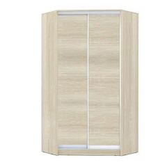 Шкаф-купе ХИТ-У-L-22-64-11 в Нижнекамске - nizhnekamsk.mebel24.online | фото 7