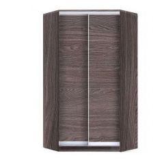 Шкаф-купе ХИТ-У-L-22-64-11 в Нижнекамске - nizhnekamsk.mebel24.online | фото 10