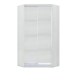Шкаф-купе ХИТ-У-L-24-64-11 в Нижнекамске - nizhnekamsk.mebel24.online | фото