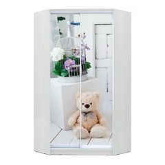Шкаф-купе ХИТ-У-L-24-64-77 в Нижнекамске - nizhnekamsk.mebel24.online | фото